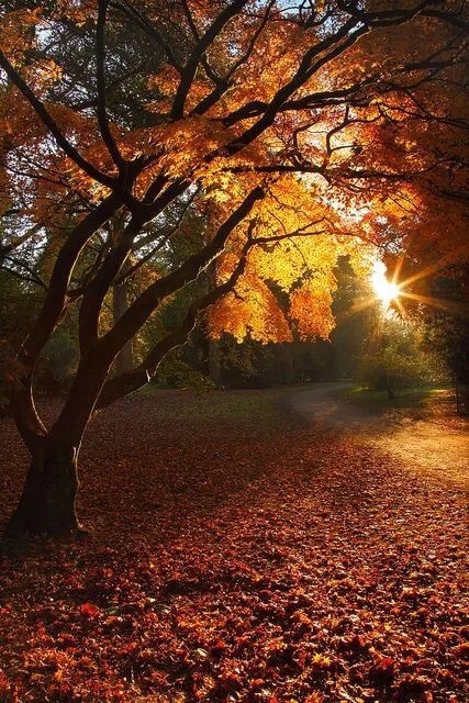 Horticulture Suffolk